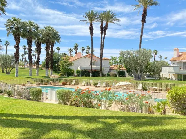 a view of a park with palm trees