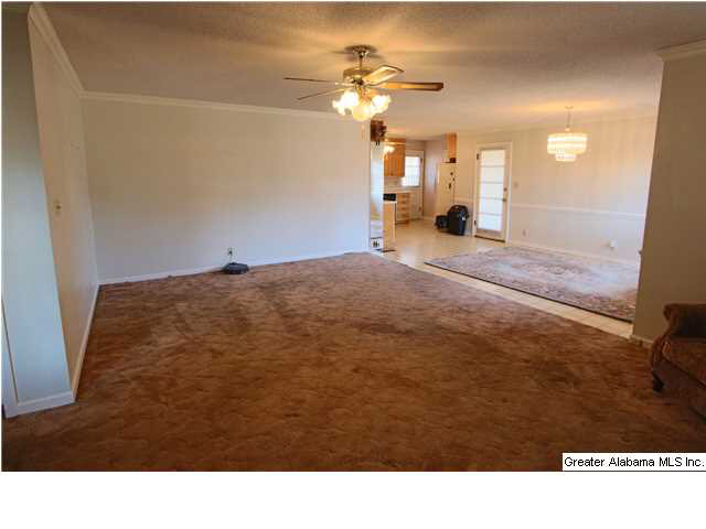 3497 Shannon Wenonah Road Bessemer, AL 35022 - Photo 8 of 16