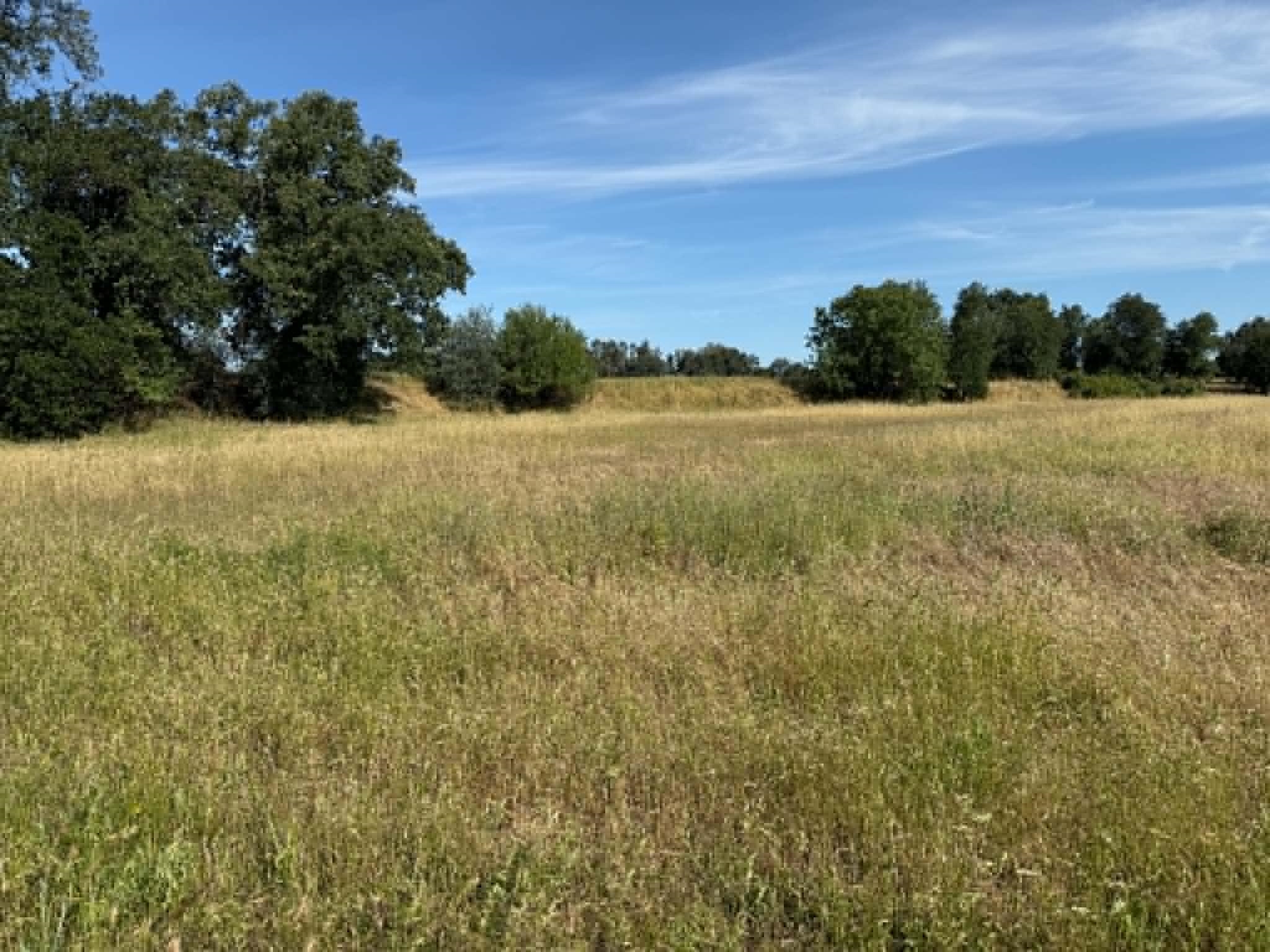0 Hamilton Avenue Gerber, CA 96035 - Photo 6 of 6