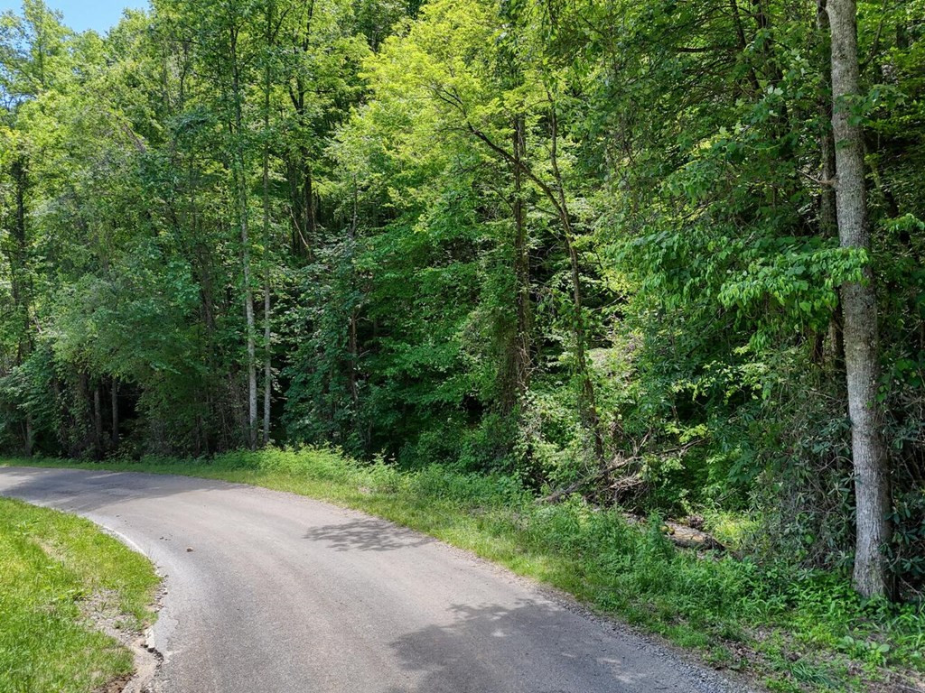 779 Grindstone Road Murphy, NC 28906 - Photo 2 of 18