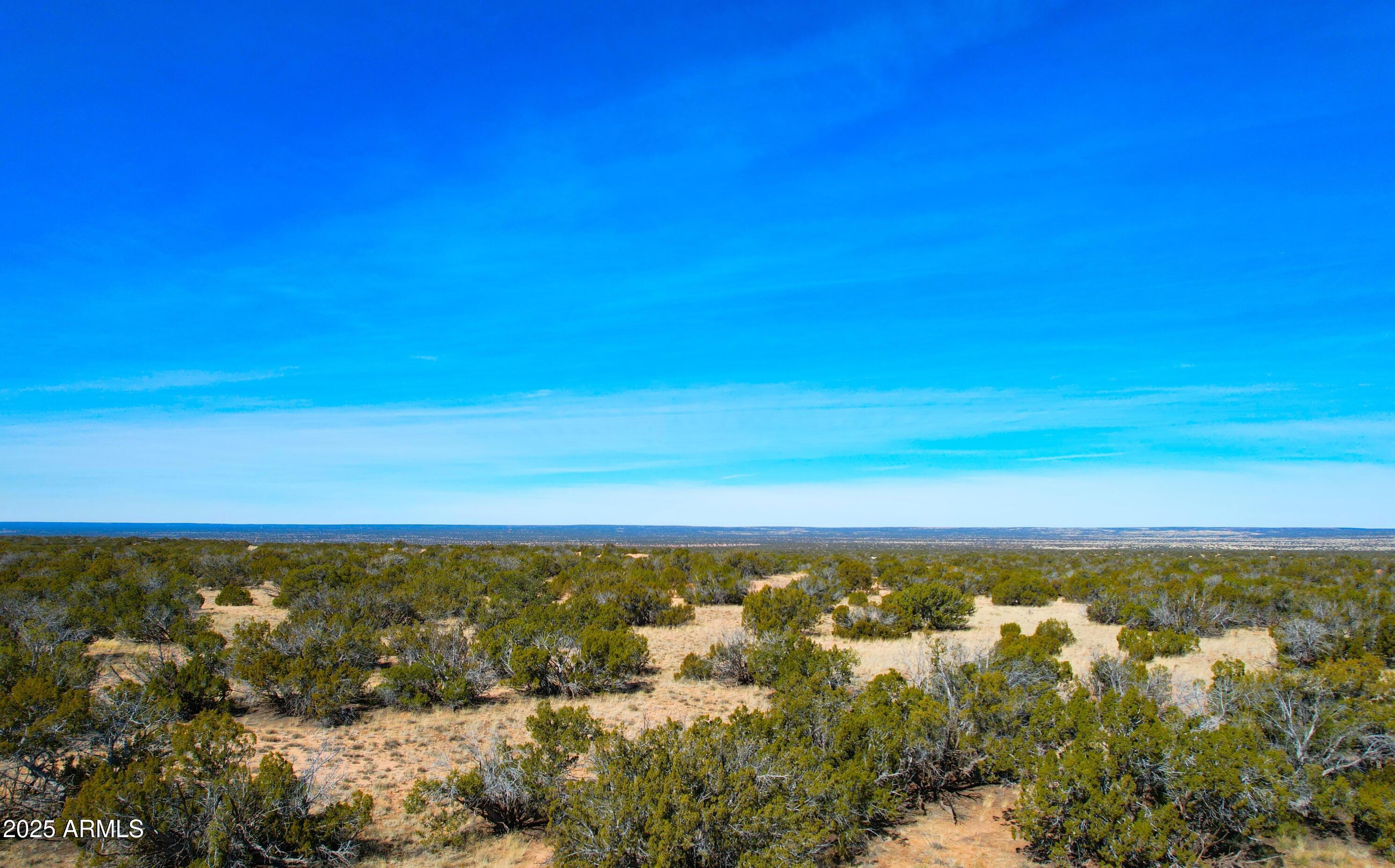 84 County Road St. Johns, AZ 85936 - Photo 6 of 11 84 County Rd N7123