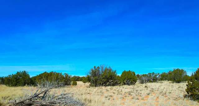 $22,947 | 84 County Road, St. Johns, AZ 85936