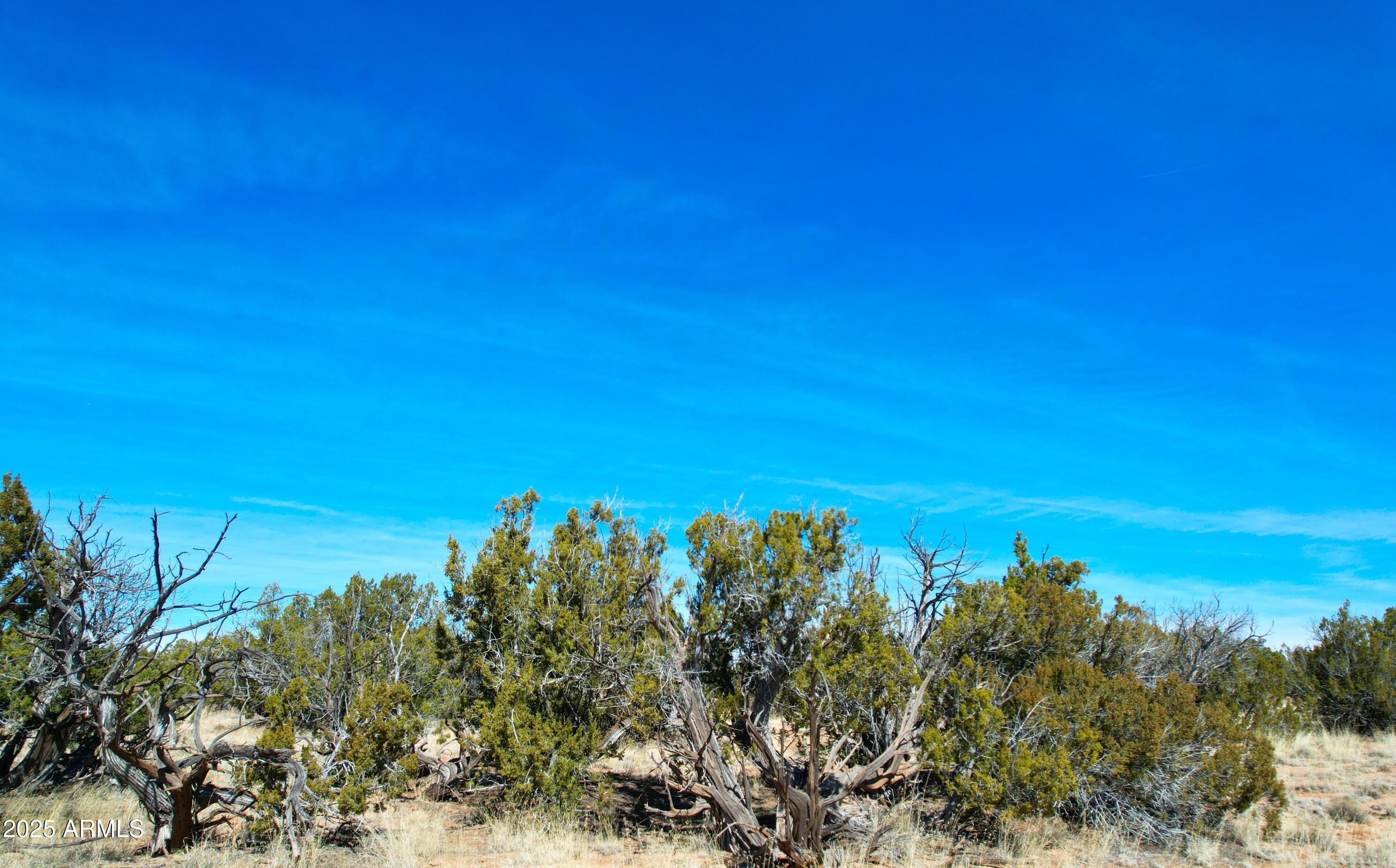 84 County Road St. Johns, AZ 85936 - Photo 10 of 11 84 County Rd N7123