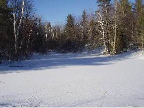 29 Jackson Hill Road Underhill, VT 05489 - Photo 3 of 10 Gallery Image 3