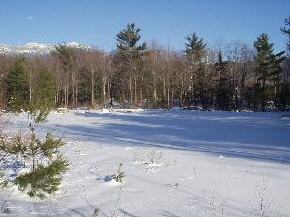29 Jackson Hill Road Underhill, VT 05489 - Photo 6 of 10 Gallery Image 6