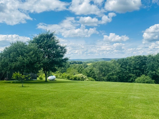 31 Myslivecek Road Lowman, NY 14861 - Photo 32 of 50