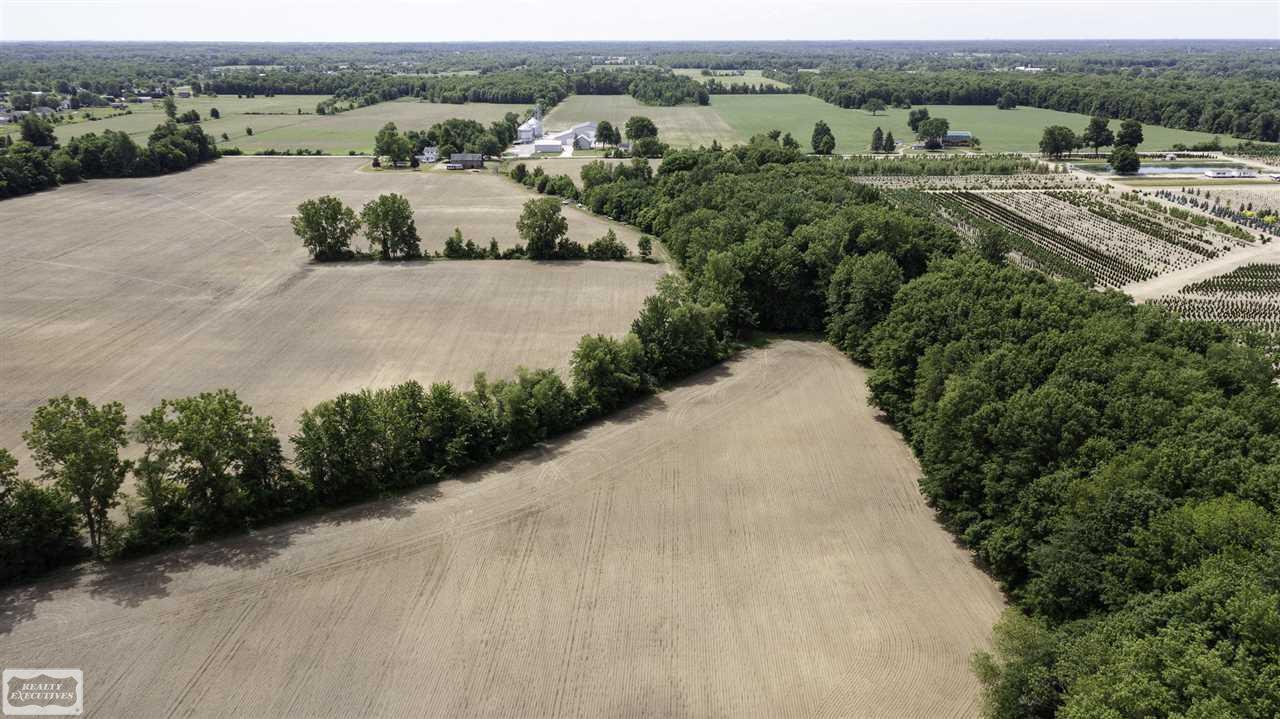 31 31 Mile Road New Haven, MI 48050 - Photo 2 of 10