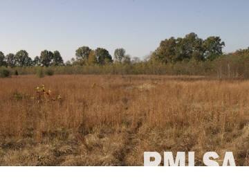 1 East Madrid Road Thompsonville, IL 62890 - Photo 7 of 7
