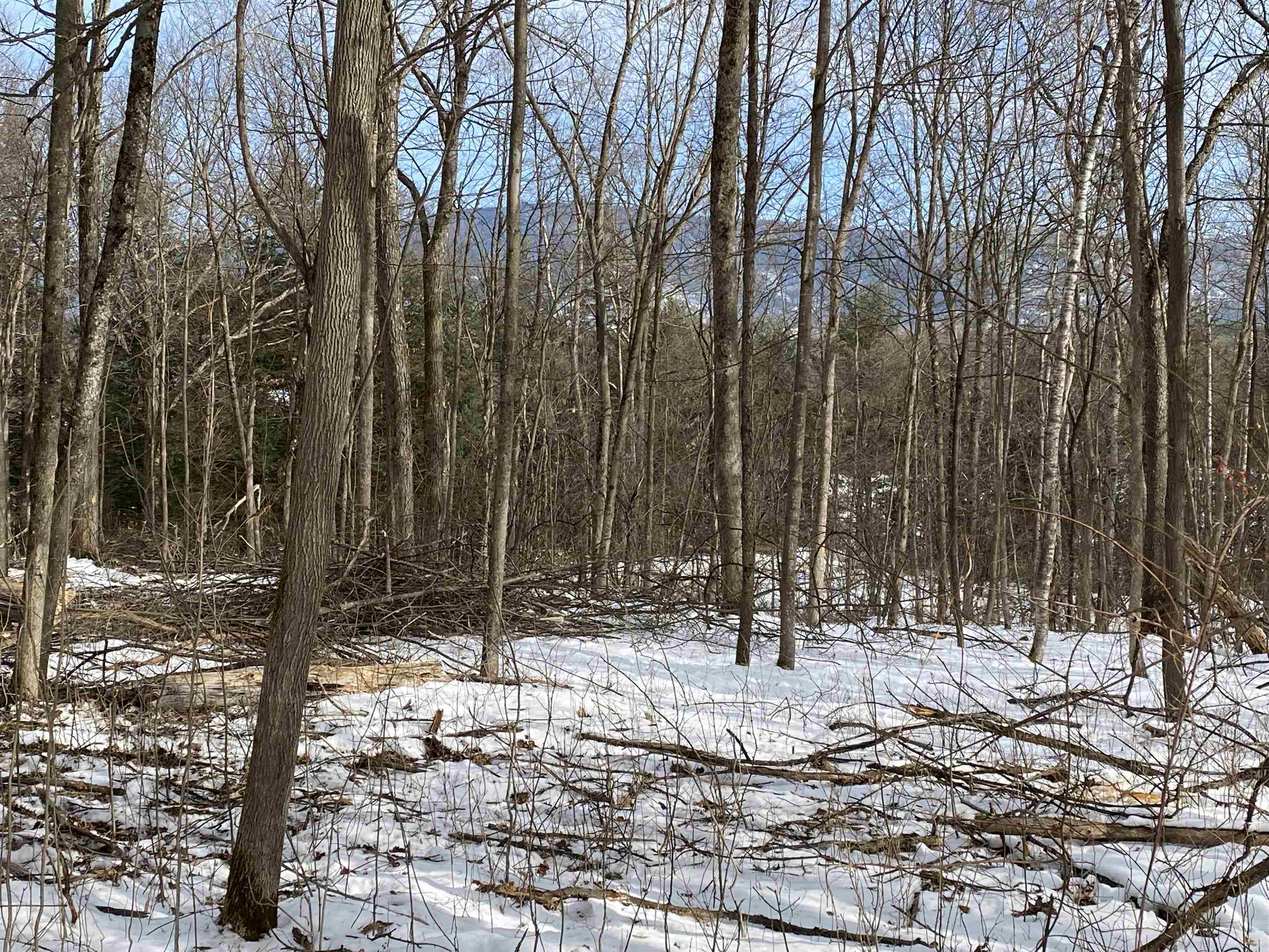 Tbd Halpin Road Middlebury, VT 05753 - Photo 2 of 4