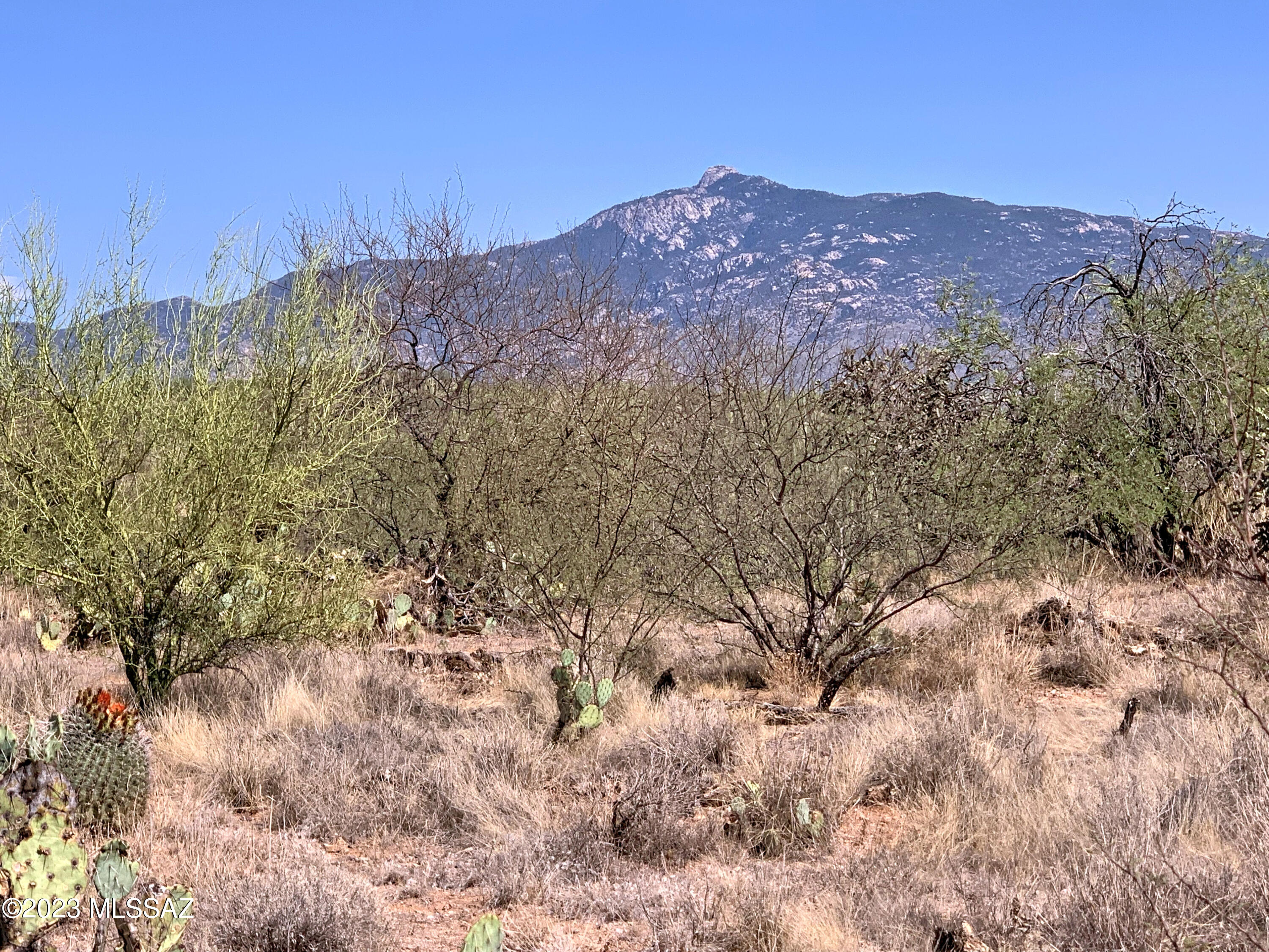 7852 South Diamond X Ranch Place, Unit 229 Vail, AZ 85641 - Photo 9 of 26
