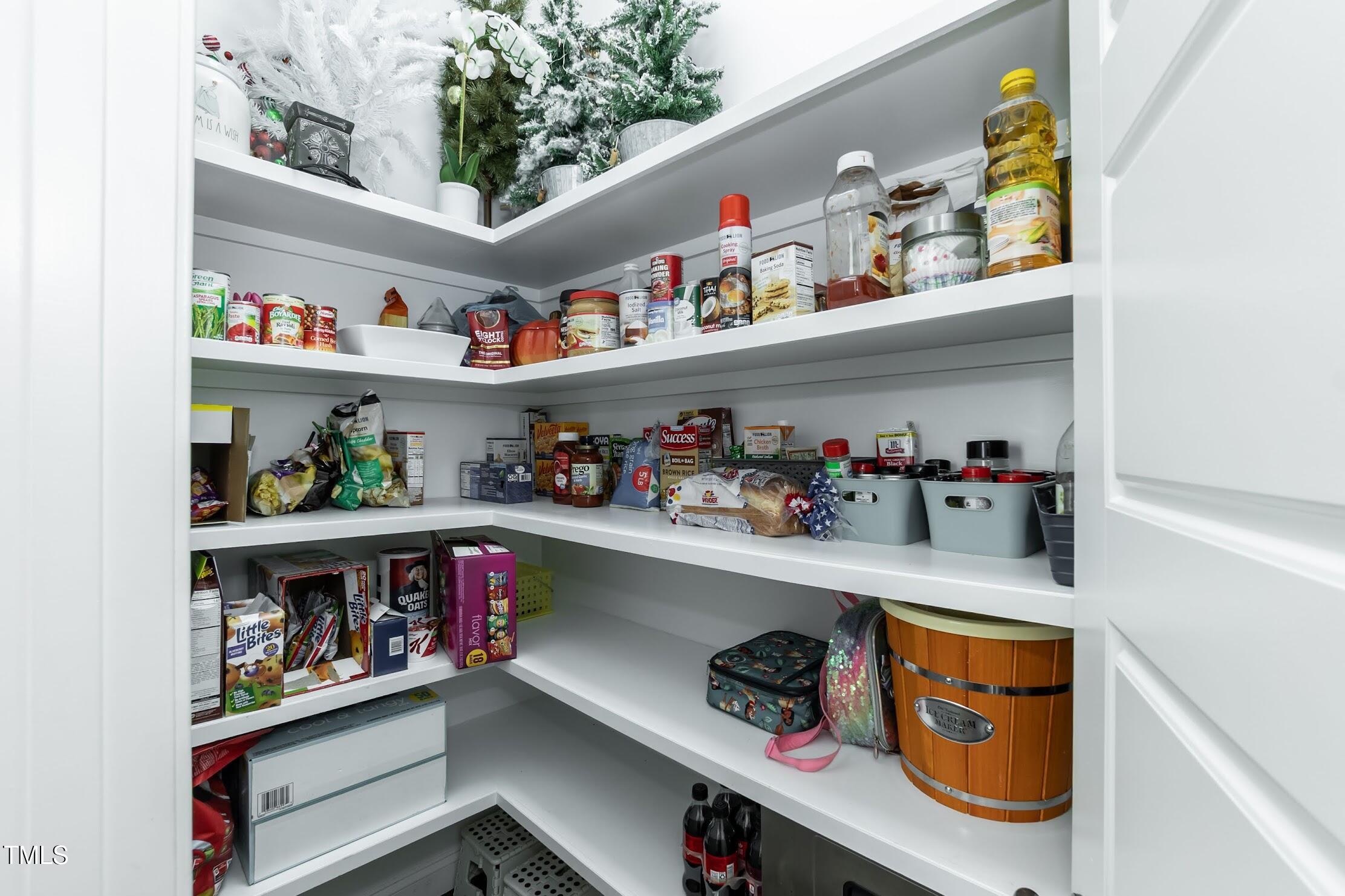 536 Adkins Ridge Road Rolesville, NC 27571 - Photo 38 of 52 Pantry 01