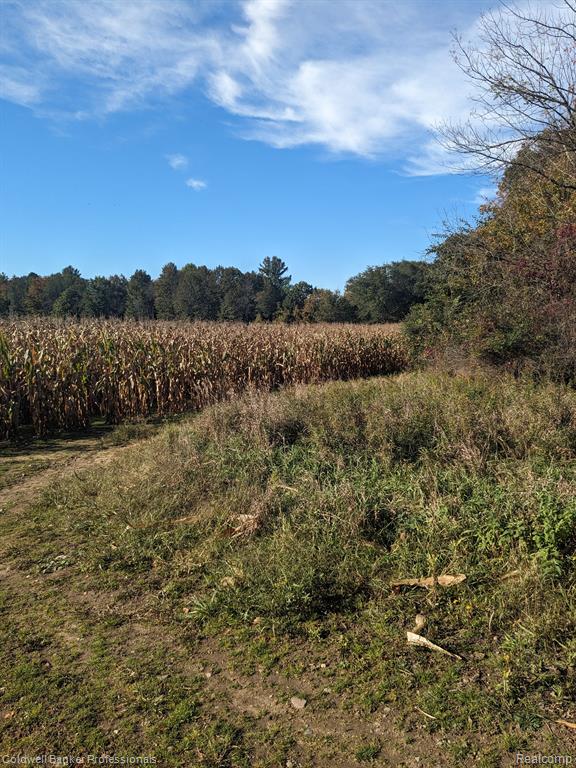 7168 Willis Road Brown City, MI 48416 - Photo 21 of 24