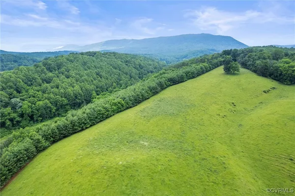 a view of a lush green field