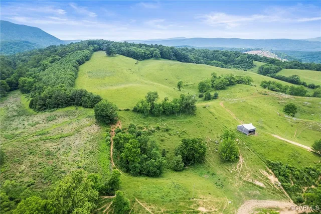 a view of a lush green outdoor space with a lake view