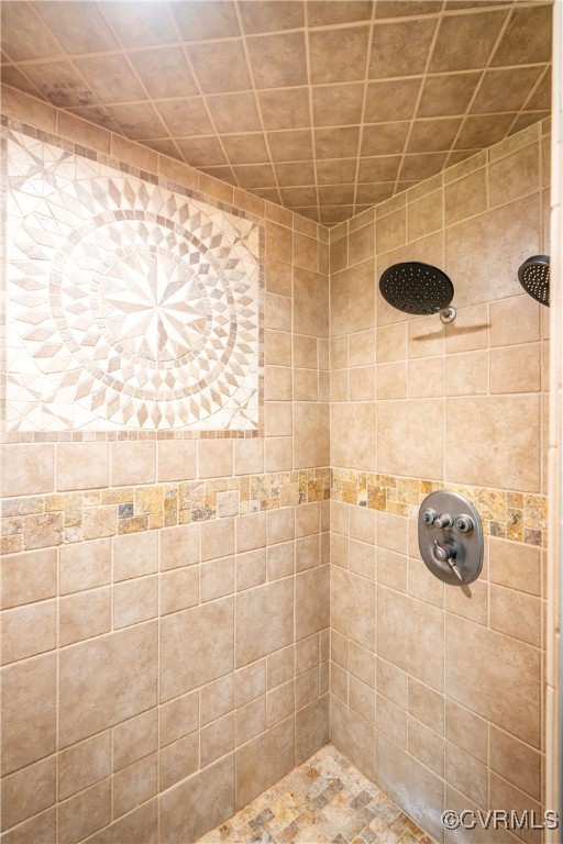 504 Springbranch Road Lexington, VA 24450 - Photo 36 of 50 a bathroom with a shower