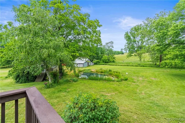 a view of a park with large trees