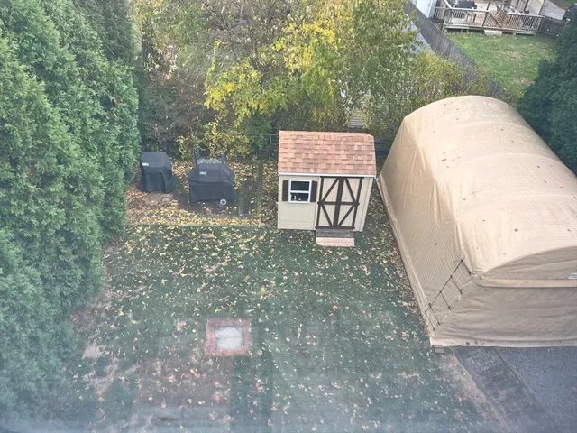a view of a garden with plants