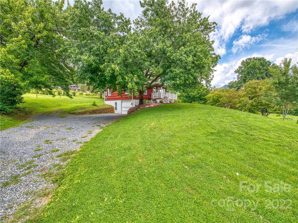 1239 Beaverdam Road Canton, NC 28716 - Photo 6 of 30 a view of a tree in front of a house with a big yard