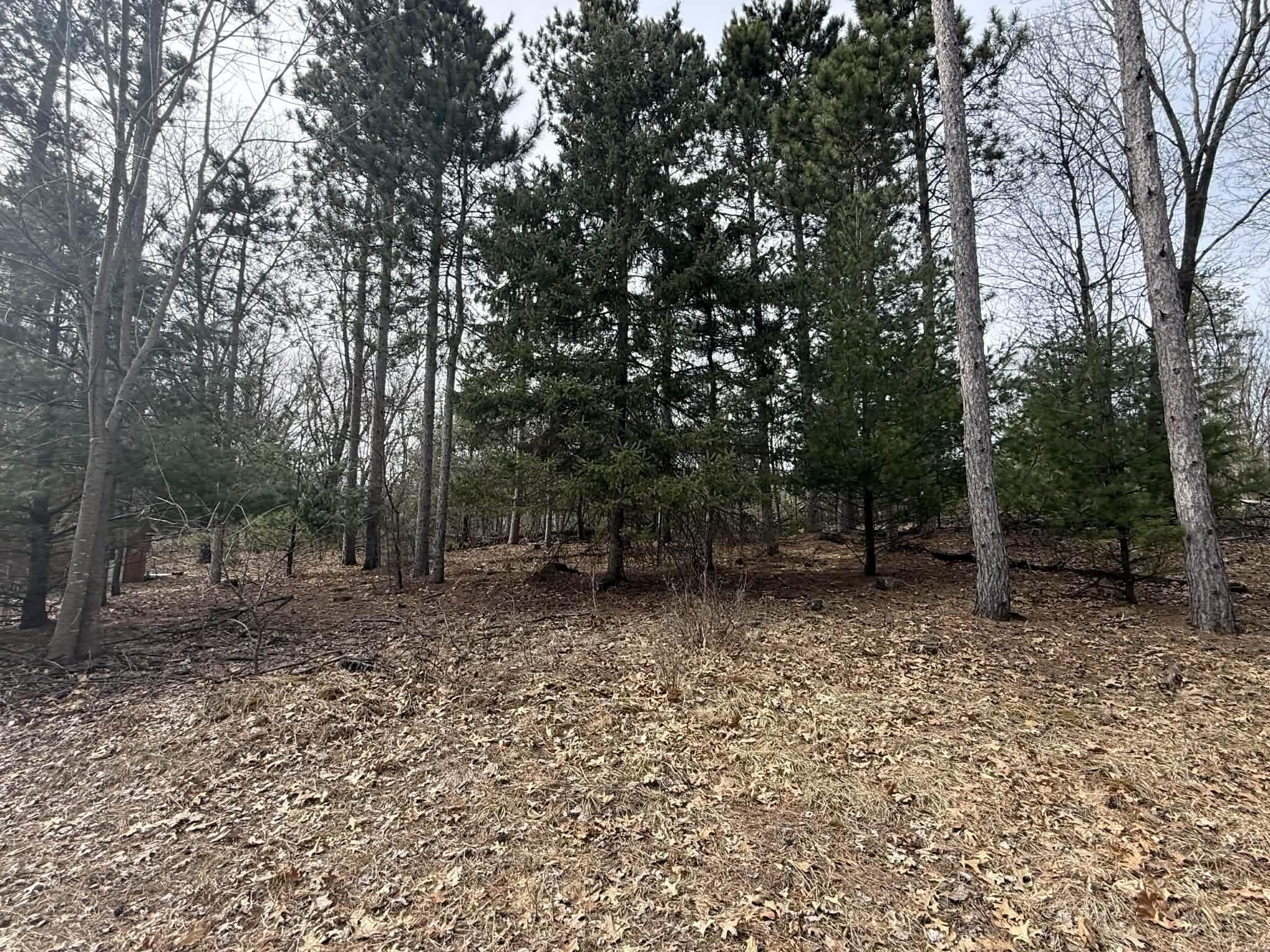 2829 4th Oxford, WI 53952 - Photo 4 of 27