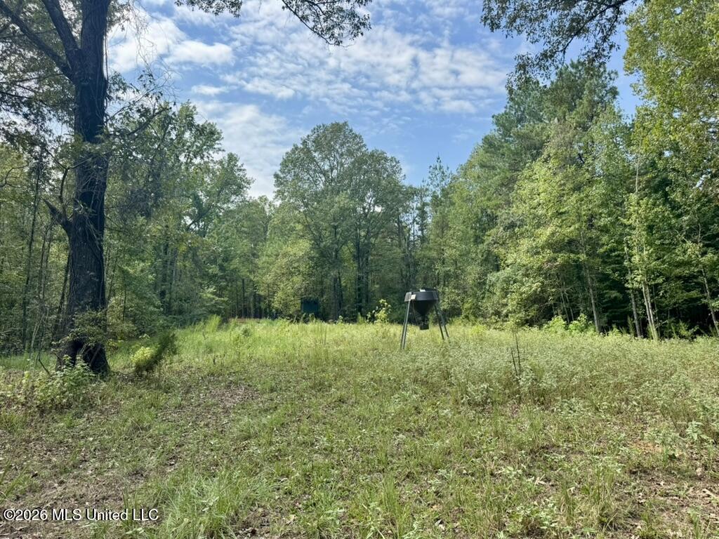 1 Chapel Hill Road Utica, MS 39175 - Photo 53 of 107 F9068183-D04E-4BC0-8B08-1CC84A0599FB_1_1