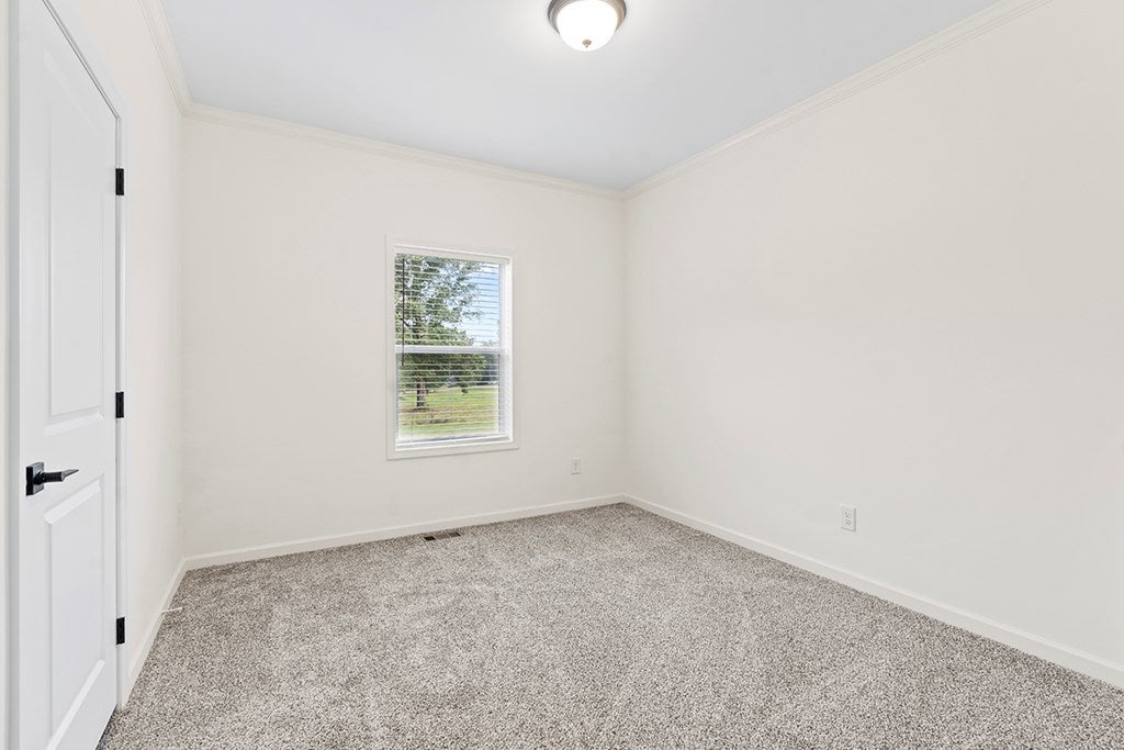 903 Scurry Church Road Chappells, SC 29037 - Photo 18 of 26 Gallery Image 18