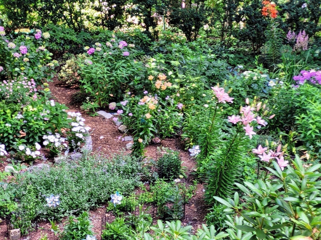 101 Summit Avenue, Unit E Brookline, MA 02446 - Photo 19 of 22 a view of a flower in a garden with a flower and trees