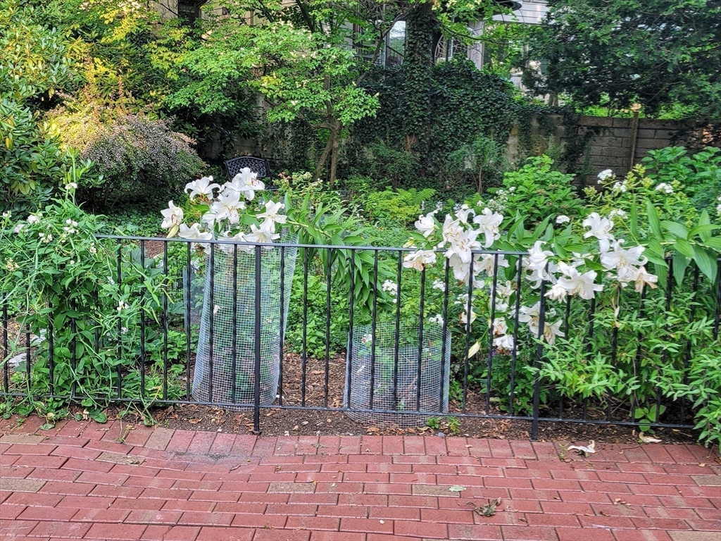 101 Summit Avenue, Unit E Brookline, MA 02446 - Photo 20 of 22 a view of a garden with plants