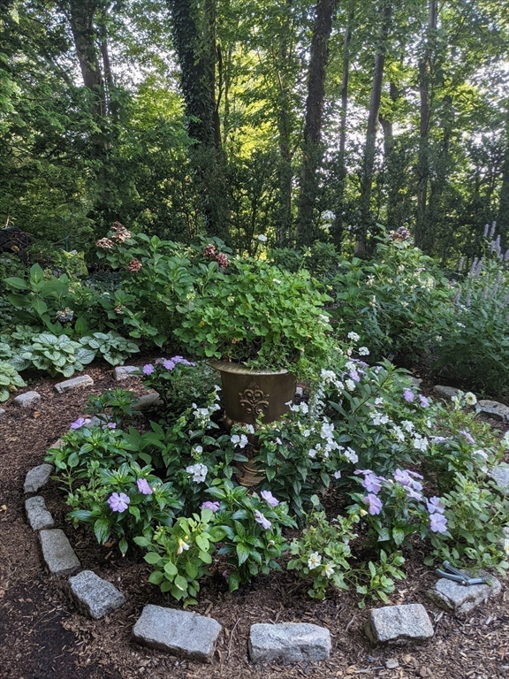 101 Summit Avenue, Unit E Brookline, MA 02446 - Photo 21 of 22 a view of a garden with a tree