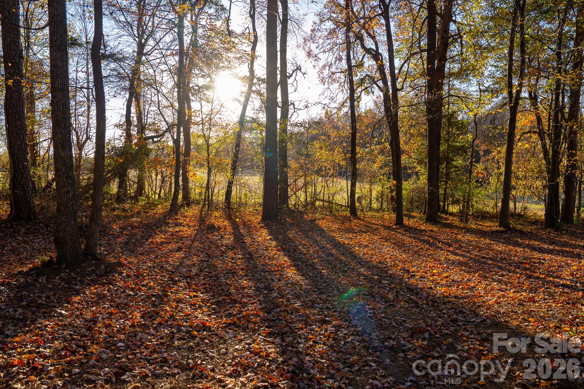 44585 Baldwin Road New London, NC 28127 - Photo 38 of 48