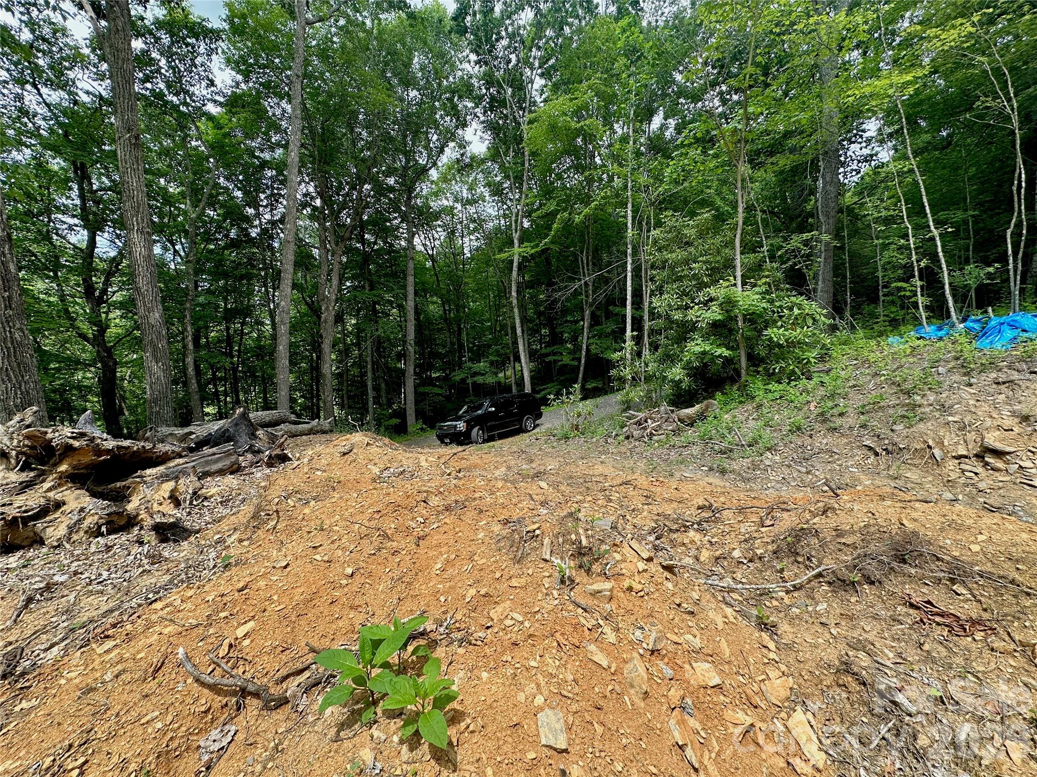 Tbd Old Chestnut Mountain Road Newland, NC 28657 - Photo 32 of 33 a view of outdoor space with trees