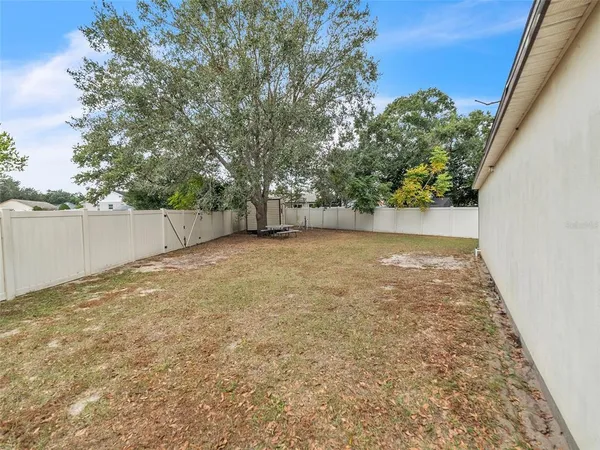 a view of a yard with a tree