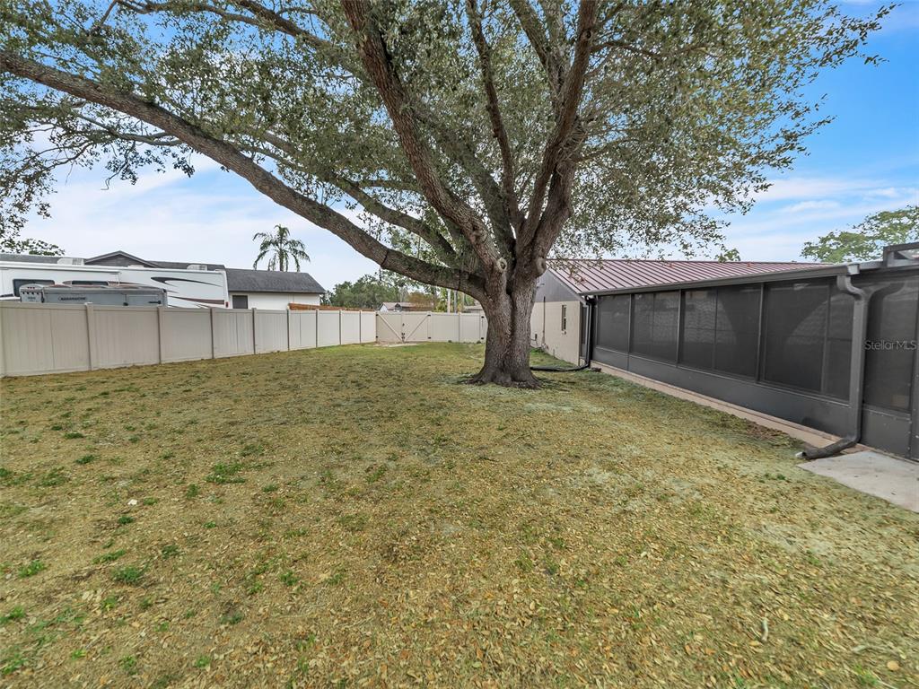 3509 King George Lane Seffner, FL 33584 - Photo 36 of 39 a backyard of a house with lots of green space