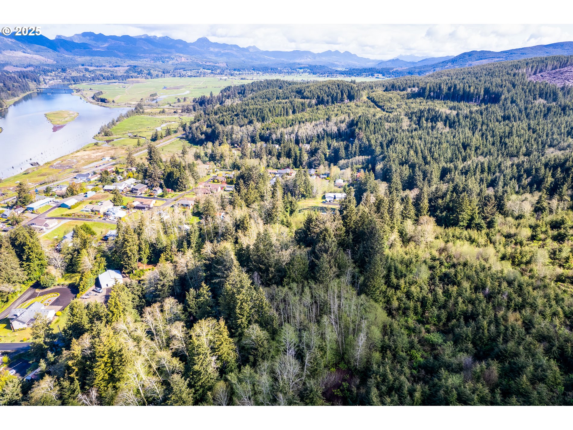Rector Street, Unit TL 0502 Wheeler, OR 97147 - Photo 11 of 11 a view of city and mountain