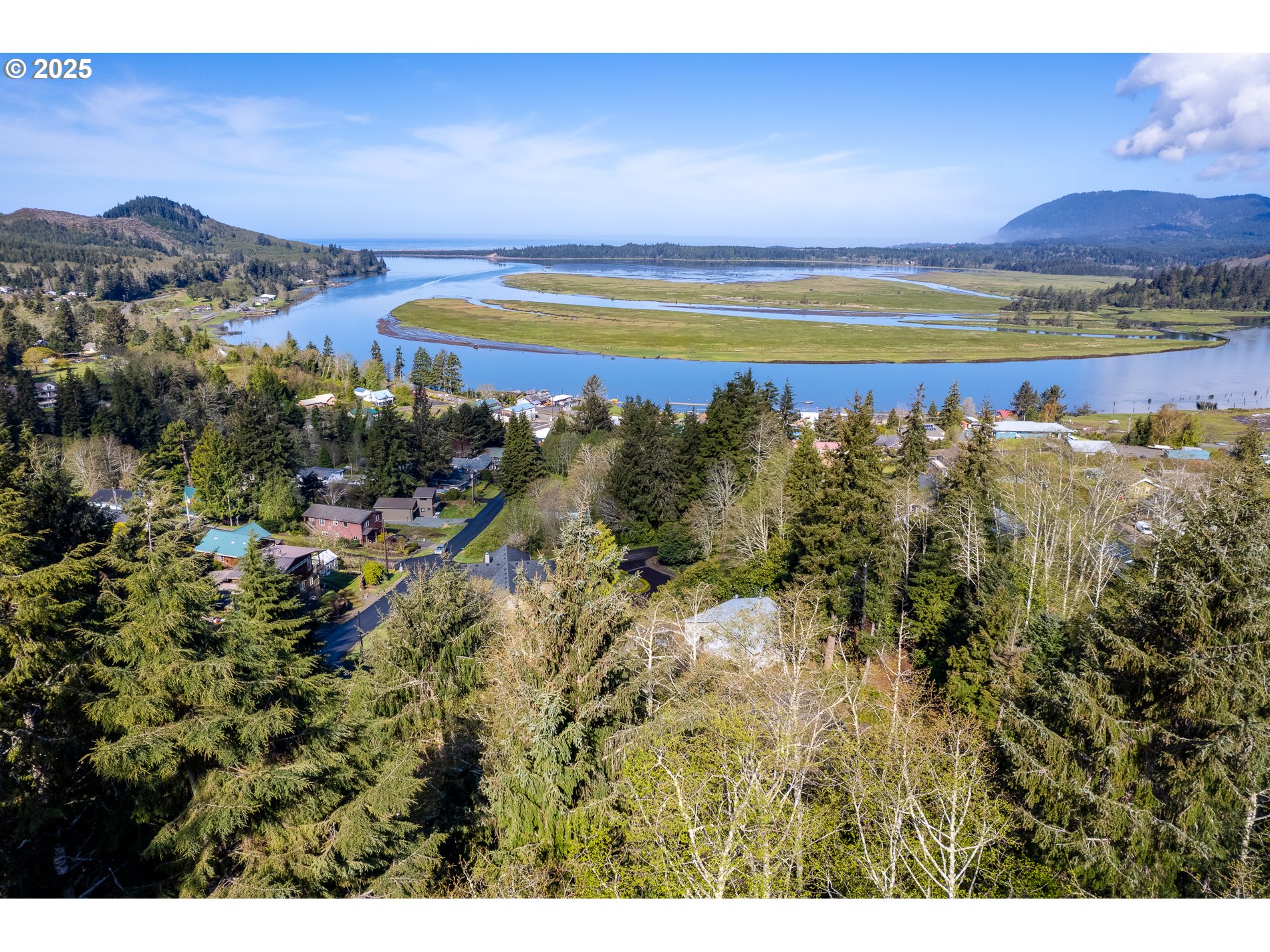 Rector Street, Unit TL 0502 Wheeler, OR 97147 - Photo 7 of 11 a view of a backyard with a swimming pool