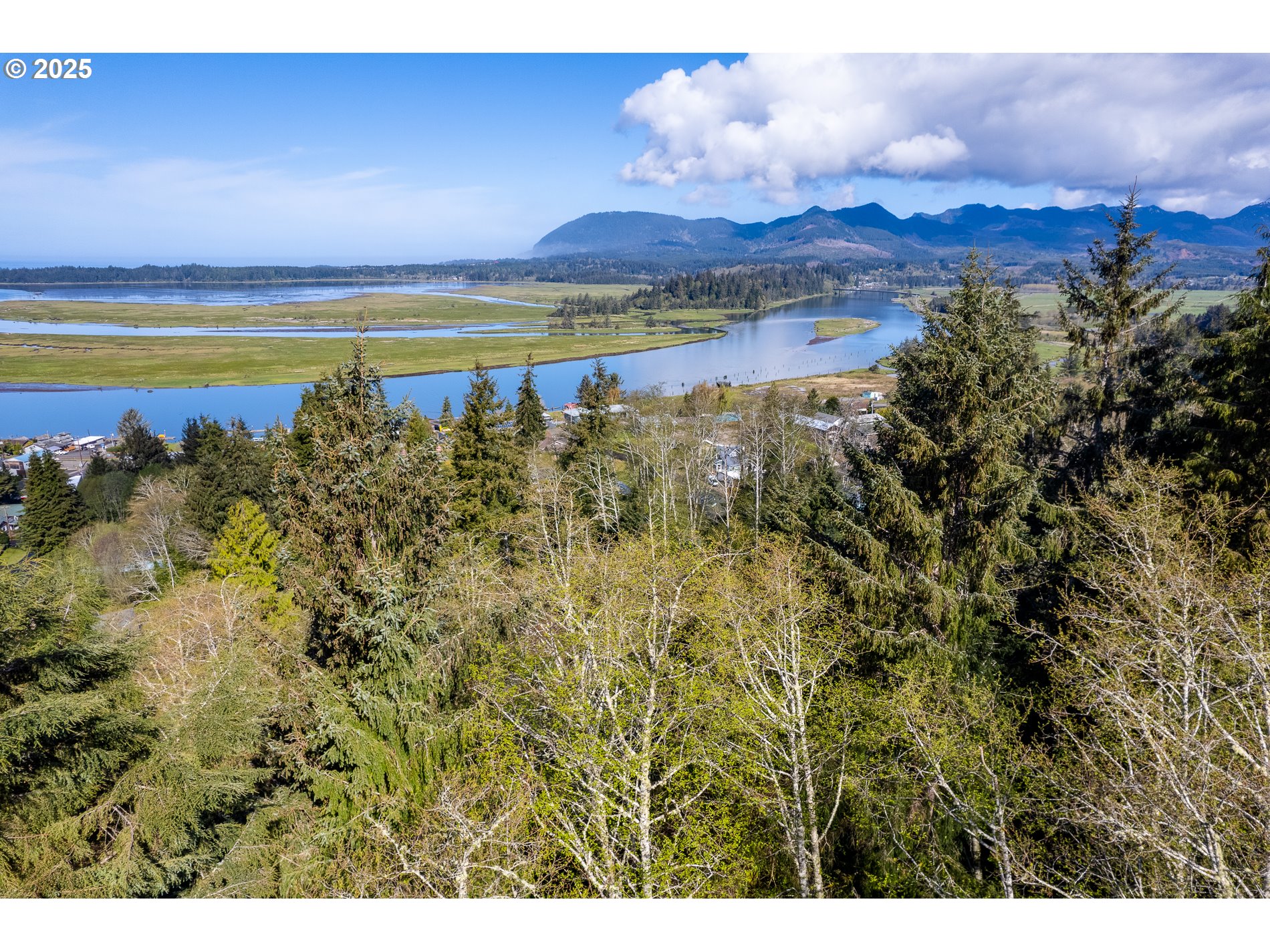 Rector Street, Unit TL 0502 Wheeler, OR 97147 - Photo 8 of 11 a view of a lake with a city