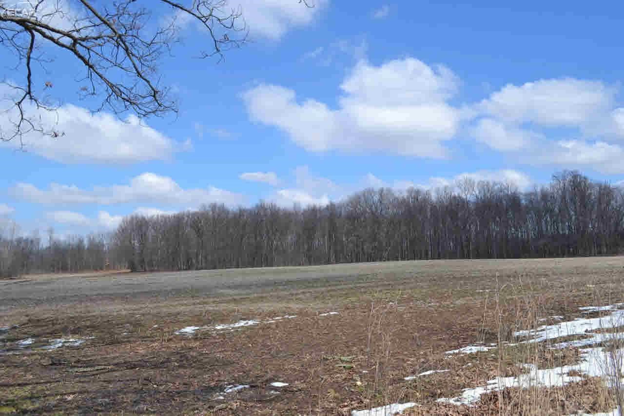 0 Lahring Road Byron, MI 48418 - Photo 4 of 11