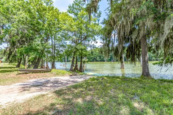 a view of a tree in the middle of a yard