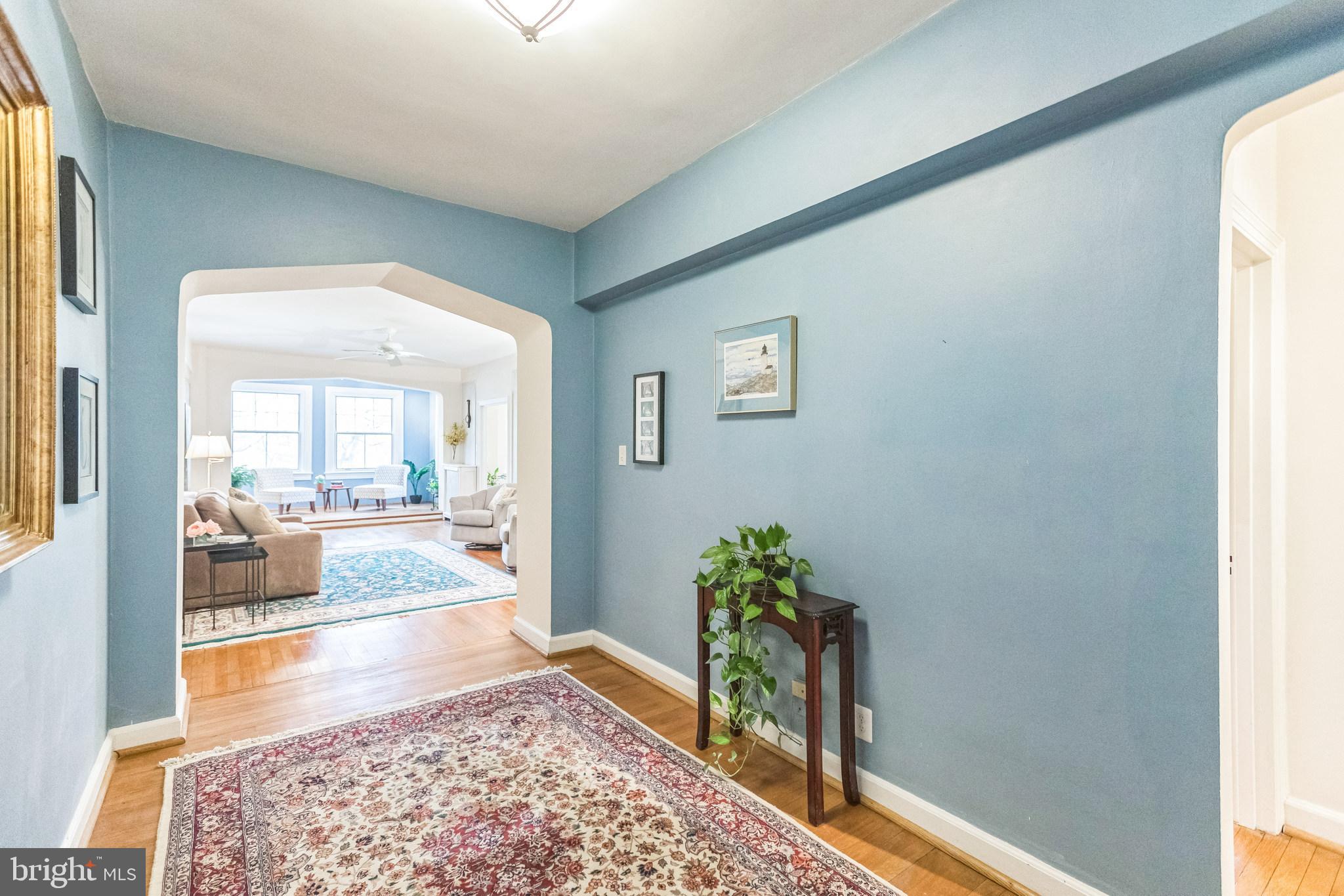 2737 Devonshire Place Northwest, Unit 7 Washington, DC 20008 - Photo 7 of 36 a living room with a rug and a potted plant