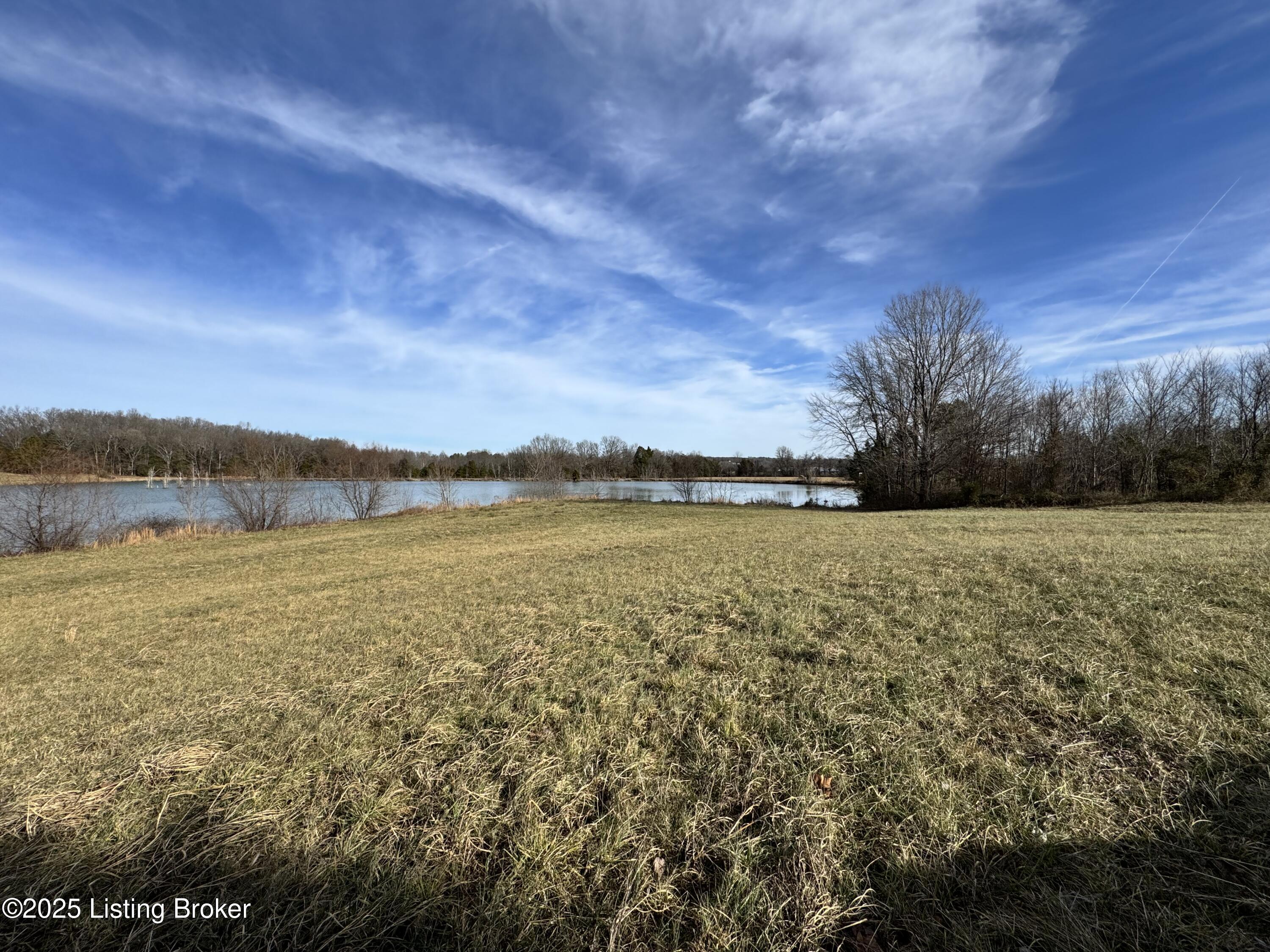 5770 Caney Creek Road Caneyville, KY 42721 - Photo 14 of 15 IMG_2273