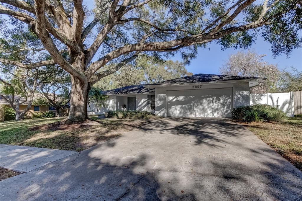 Tranquil Tree Lined Street