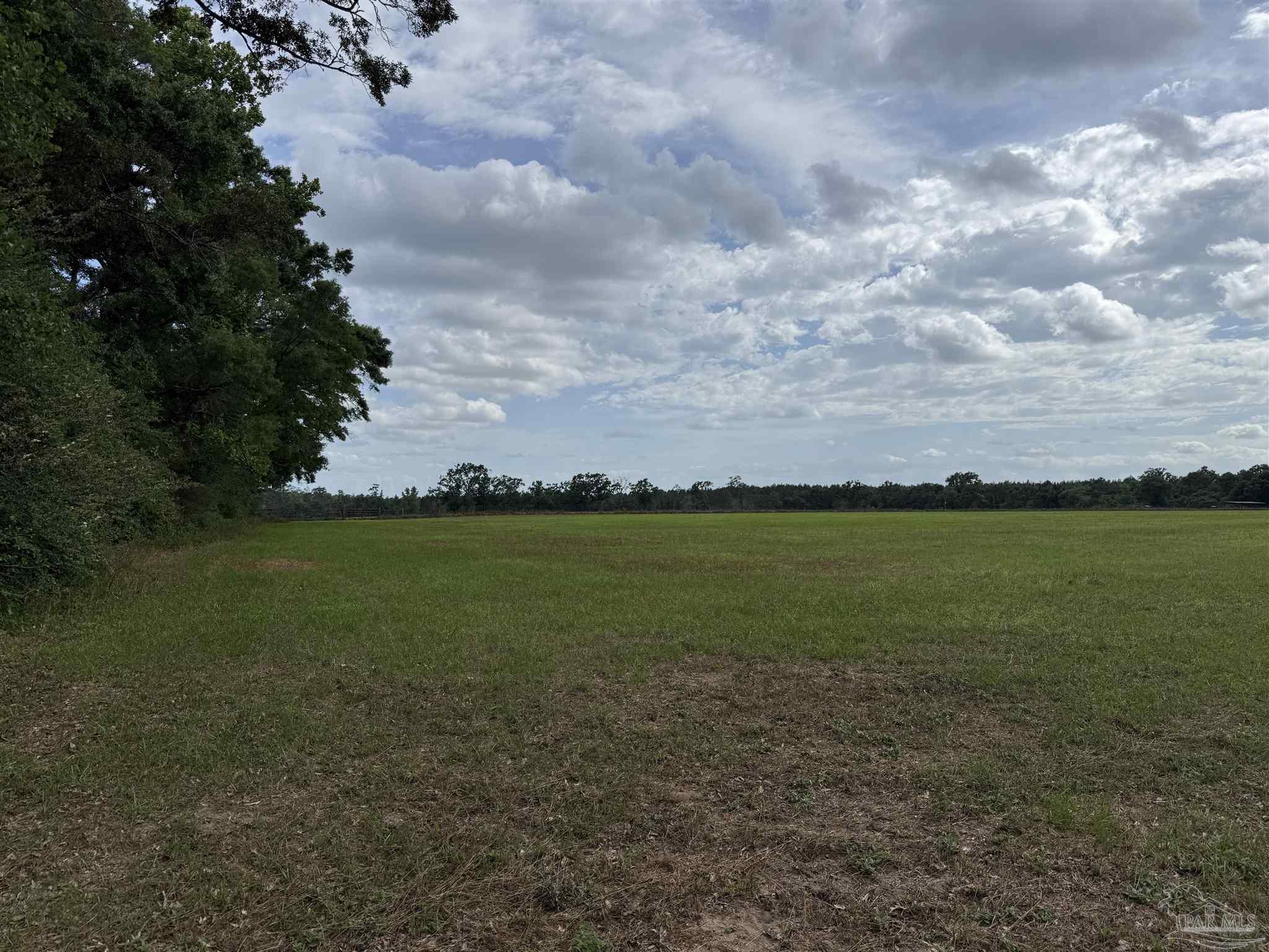 a view of an ocean and yard
