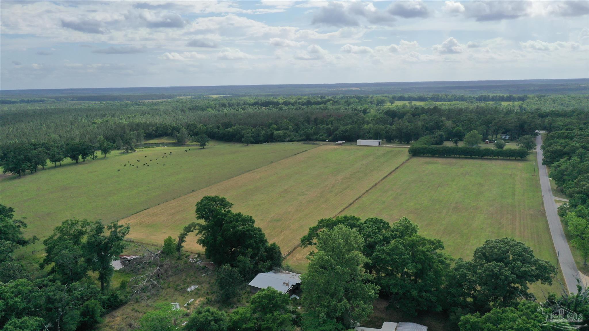 Lot 9 Hall Road Jay, FL 32565 - Photo 4 of 6 Gallery Image 4
