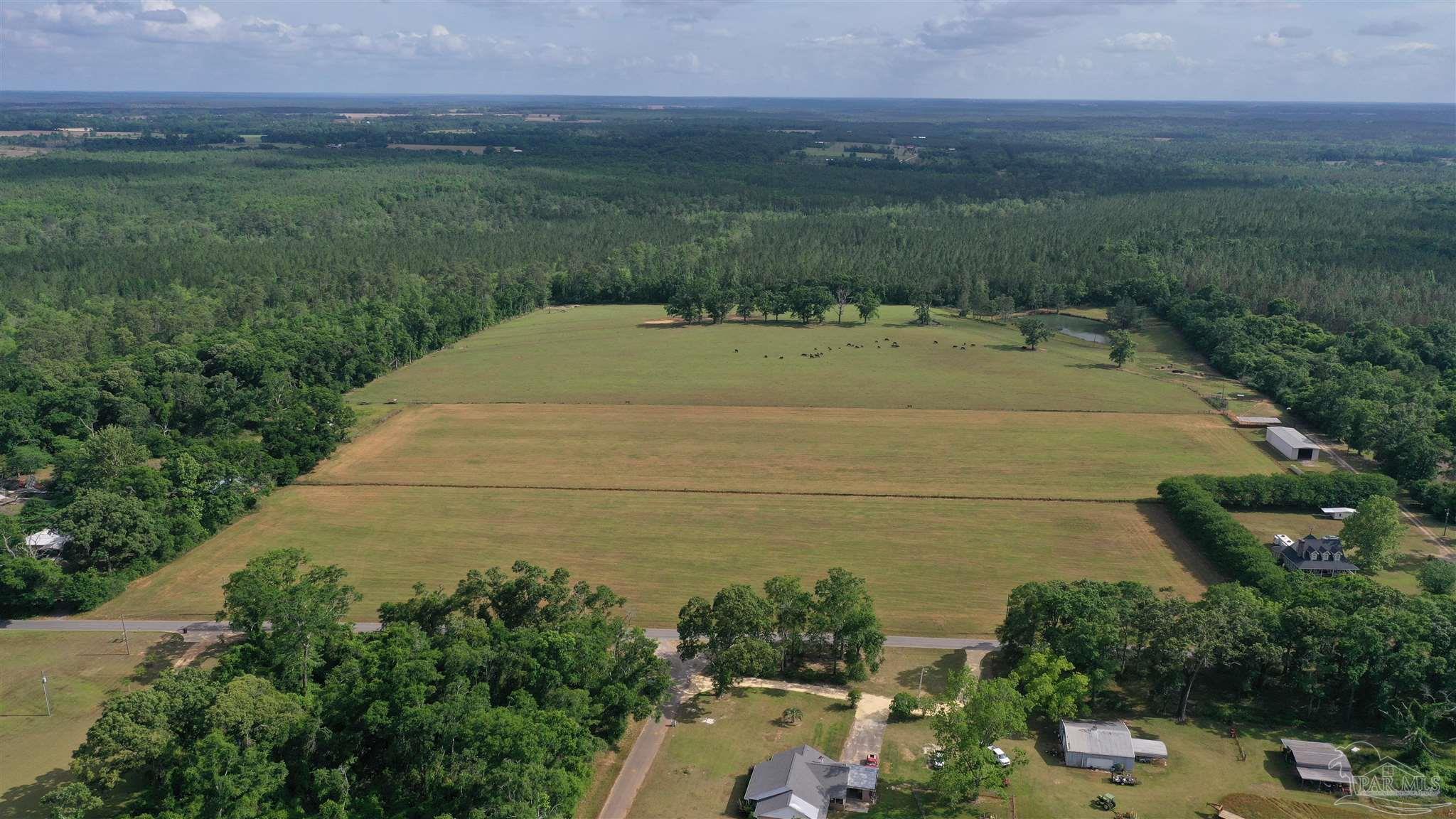 Lot 9 Hall Road Jay, FL 32565 - Photo 5 of 6 Gallery Image 5