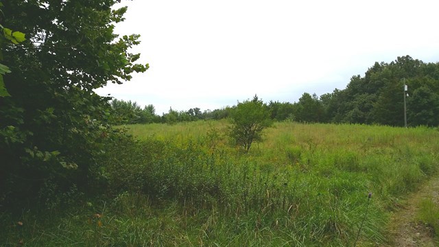 166 County Road Auxvasse, MO 65231 - Photo 27 of 27