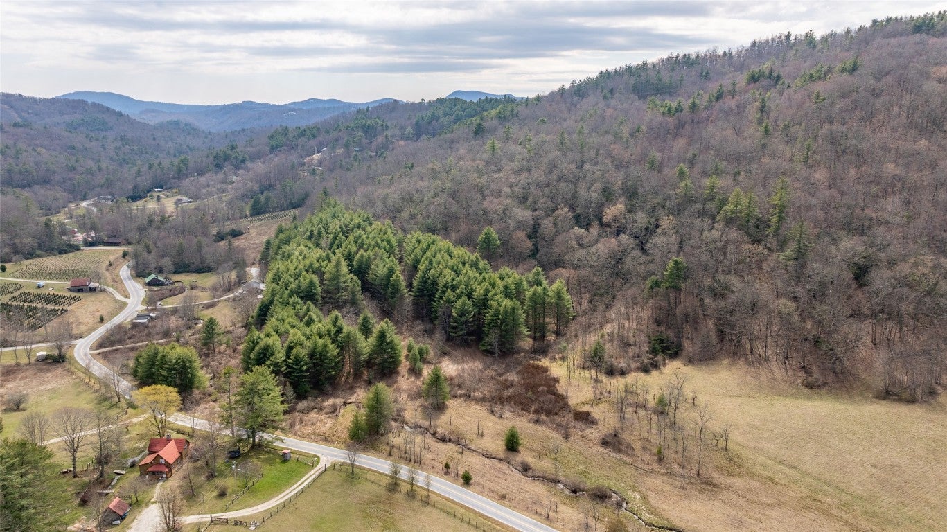 1900 Bee Tree Road Glenville, NC 28736 - Photo 31 of 38 Gallery Image 31