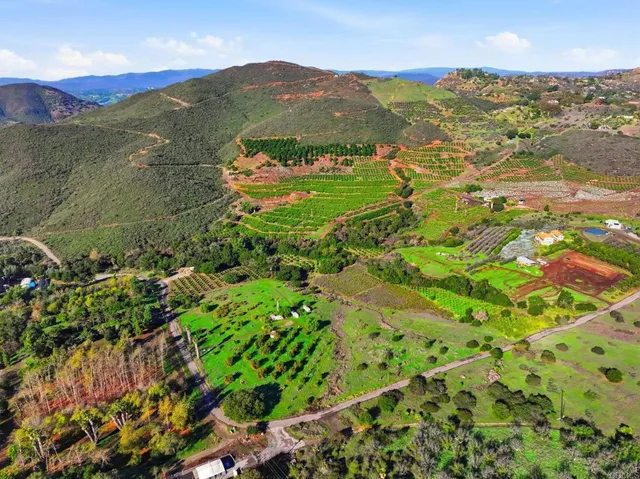 a view of a lush green hillside and houses