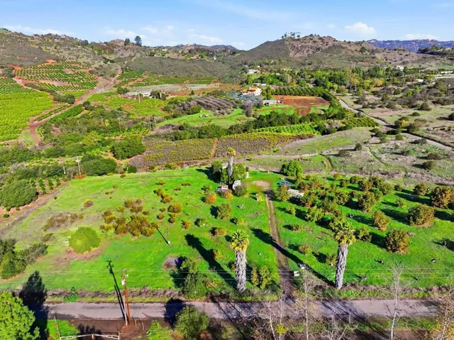 a view of a lush green hillside and houses