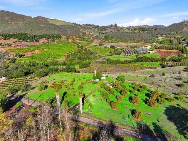 a view of a lush green hillside and houses