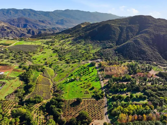 a view of a lush green hillside and houses