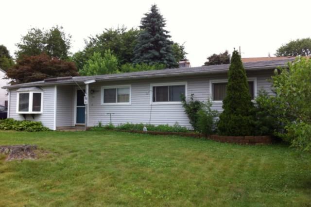 a backyard of a house with plants and large tree